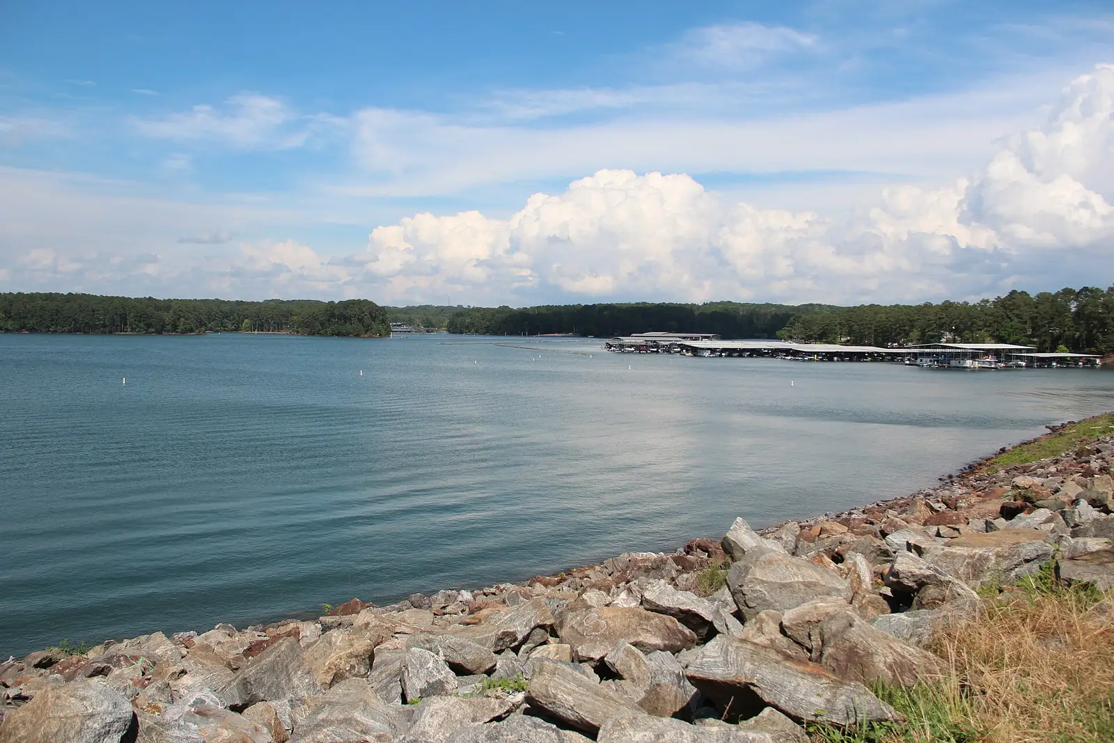 Lake Allatoona in Cherokee County, Georgia, with wooded shoreline and a marina under a summer sky
