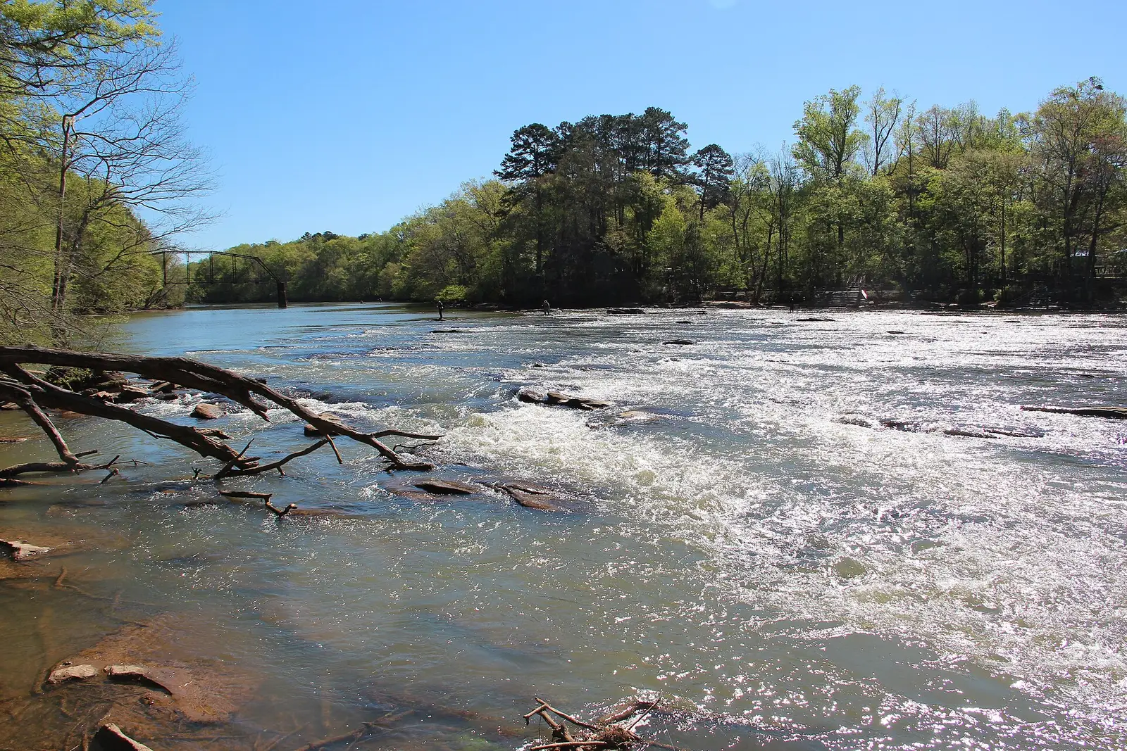 The Chattahoochee River flowing over Jones Bridge Shoals in Johns Creek, Georgia